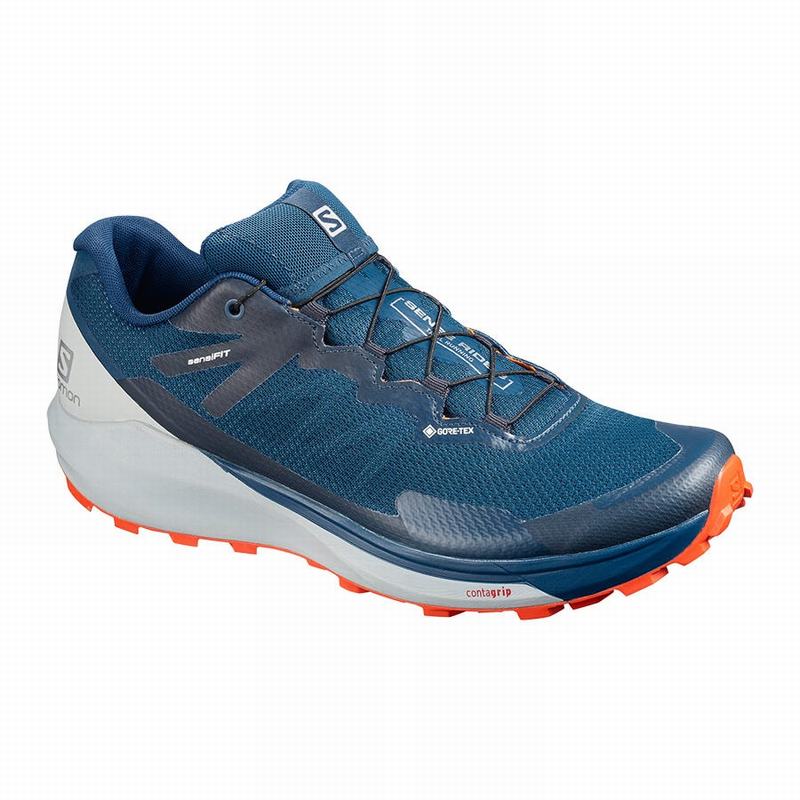 SALOMON SENSE RIDE 3 GTX INVIS. FIT Philippines - Men's Trail Running Shoes - Navy | 062875-UKH